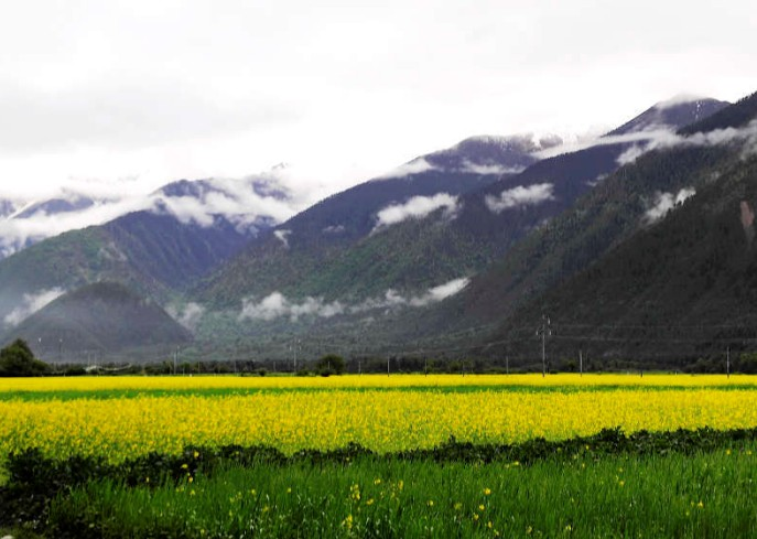 林芝地区