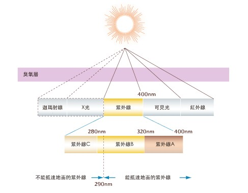 紫外线