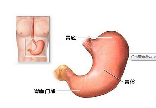 食物在胃的通过障碍