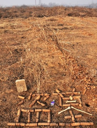 为什么考古学者要挖祖宗的坟,不是说盗墓是犯