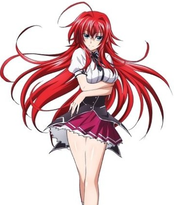 恶魔高校d×d+new