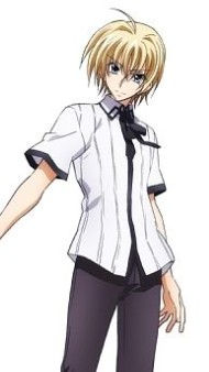 恶魔高校d×d+new