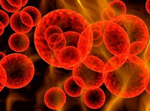 微生物 - 搜狗百科