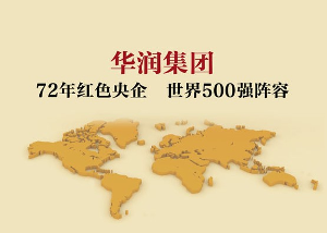 华润(集团)有限公司