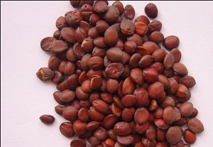 酸枣仁泡水喝的功效:酸枣仁:酸枣仁的功效与作