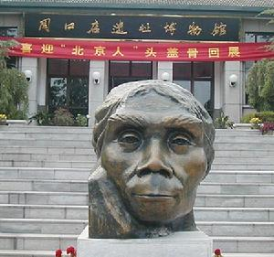 产生了不同时期的原始人,氏族部落,如元谋人,蓝田人,北京人,山顶洞人