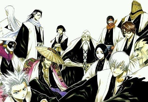 护廷十三番队 - 搜狗百科