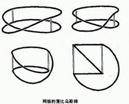 两极的莫比乌斯带