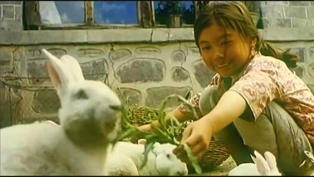 暖春(2003年张妍等主演的电影) - 搜狗百科