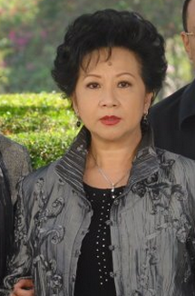 薛家燕饰 常开眉