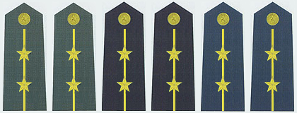 陆军中尉军衔主要标识为松枝绿色肩章底版上缀有一条金色细杠和二枚星
