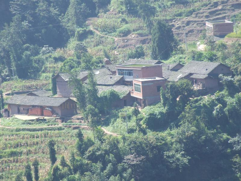 向家自然村(云南省水富县向家坝镇新安村向家自然村)