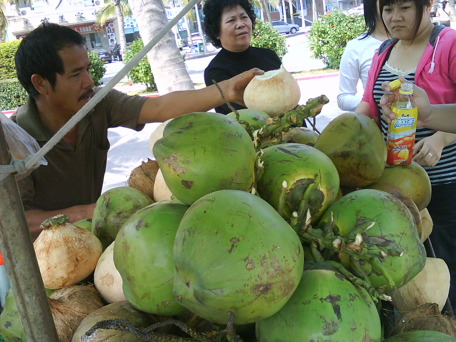 椰子进口持续高速增长，泰国椰子保持领先_郑州陈氏阳光果蔬贸易有限公司