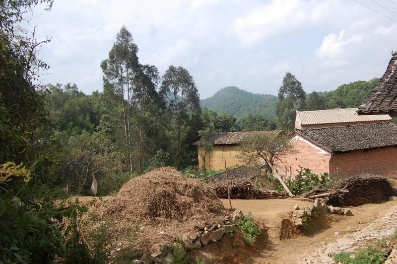 地棚村(云南省文山州砚山县阿猛镇地棚村) - 搜狗百科