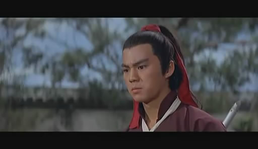 双侠(1971年张彻导演香港电影) - 搜狗百科