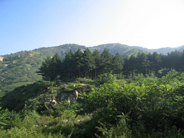 青龙满族自治县