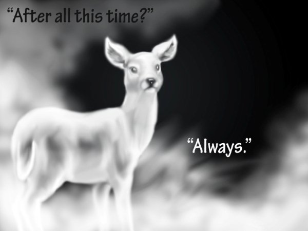 西弗勒斯:"always."