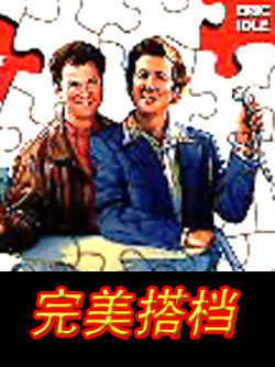 完美搭档