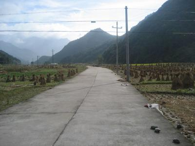 大亨村(浙江省温州市永嘉县上塘镇下辖村) - 搜狗百科