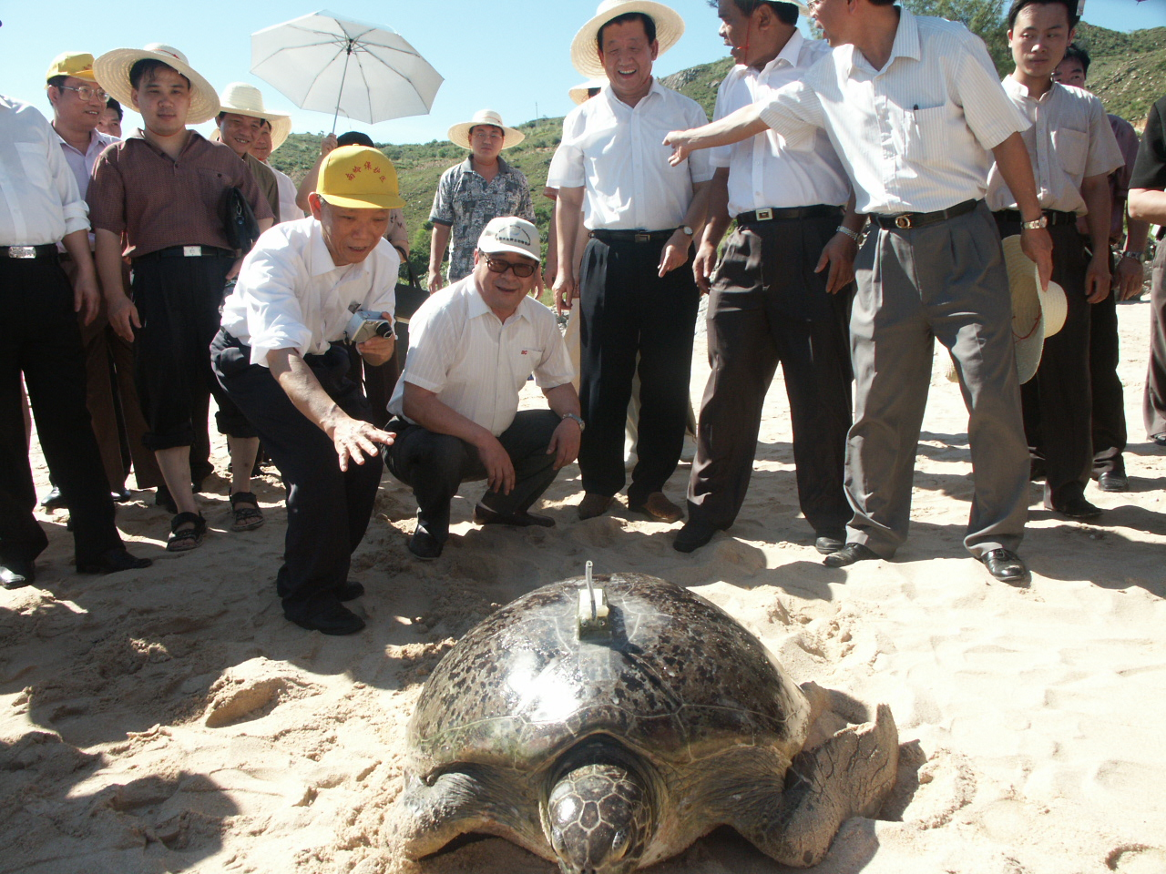 2021海龟孵化场-旅游攻略-门票-地址-问答-游记点评，加勒旅游旅游景点推荐-去哪儿攻略