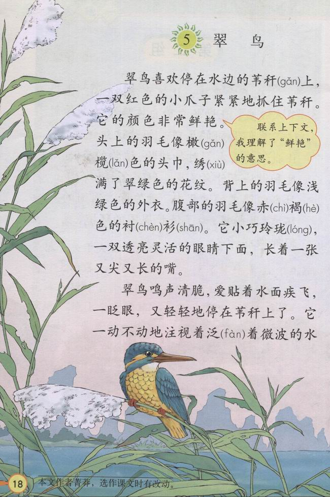 《翠鸟》课文片段