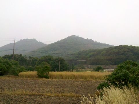 天马山(上海市天马山 搜狗百科