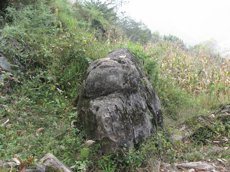 湖北省襄阳市宜城市小河镇 安徽石台县小河镇 陕西城固县小河镇 河南