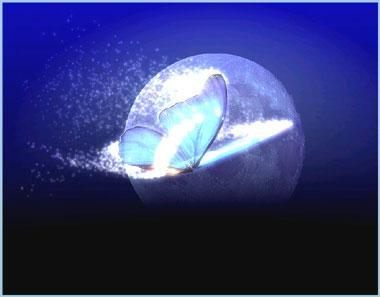 蝴蝶效应电影什么意思_蝴蝶效应电影解析_恐