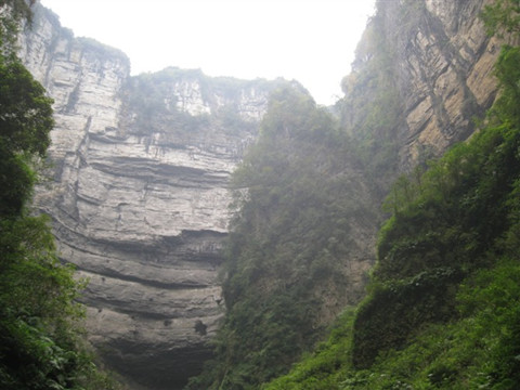 贵州麻阳河国家级自然保护区位于黔东北沿河土家族自治县中寨乡及