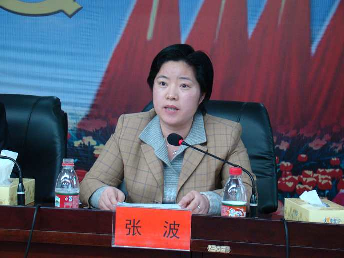 宣传部长,2010年1月任东安县委常委,常务副县长, 2011年2月任东安县委