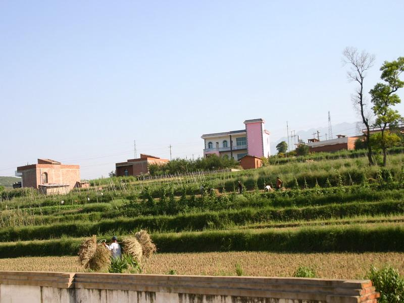 小石岩村隶属于鸡街镇龙潭行政村,属于坝区.