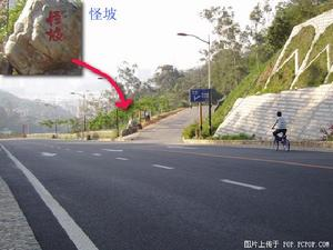 怪坡在哪_厦门怪坡风景区_厦门怪坡在哪里 | 知