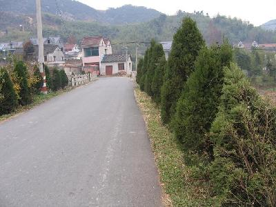 横岭村