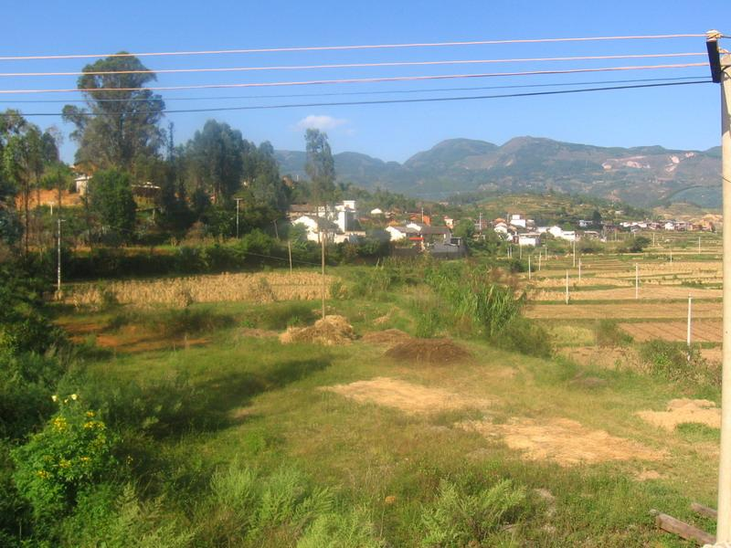 金家村(云南省保山市隆阳区板桥镇金家村) - 搜狗百科