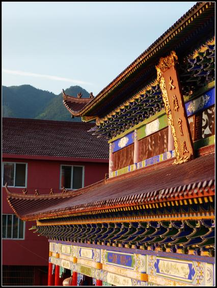 丽水市青云寺风景特写