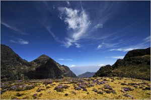 云南昭通市巧家县药山