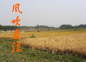 李健:远处蔚蓝天空下