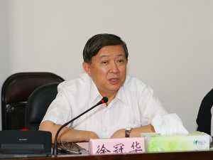 徐冠华