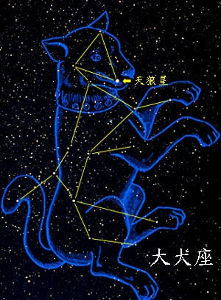 “Dog Days”是什么日子？你绝对想不到~