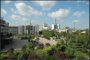 晋州(河北省中南部县级市)