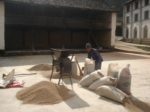 我的世界林地府邸地图_人均有林地面积