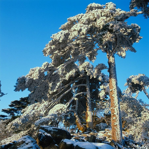 中原独秀—尧山风景名胜区(冬季的尧山)