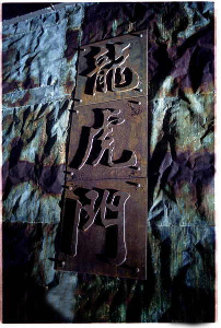 龙虎门(中国电影(叶伟信执导,2006年))