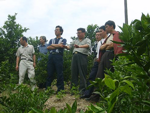 小马村