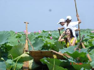 洪湖(湖北省洪湖市)