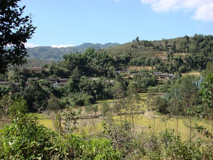 山田自然村隶属于云南省临沧市云县茶房乡桥街行政村,属于山区.