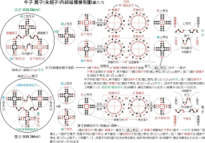 质子,中子-内部结构图