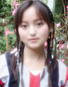 <em>果敢</em>(缅甸东北部自治区)