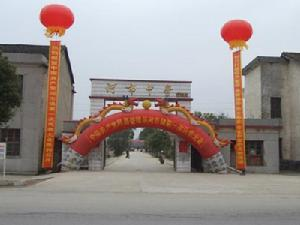 河市镇
