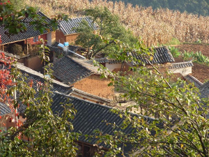 瓦房村